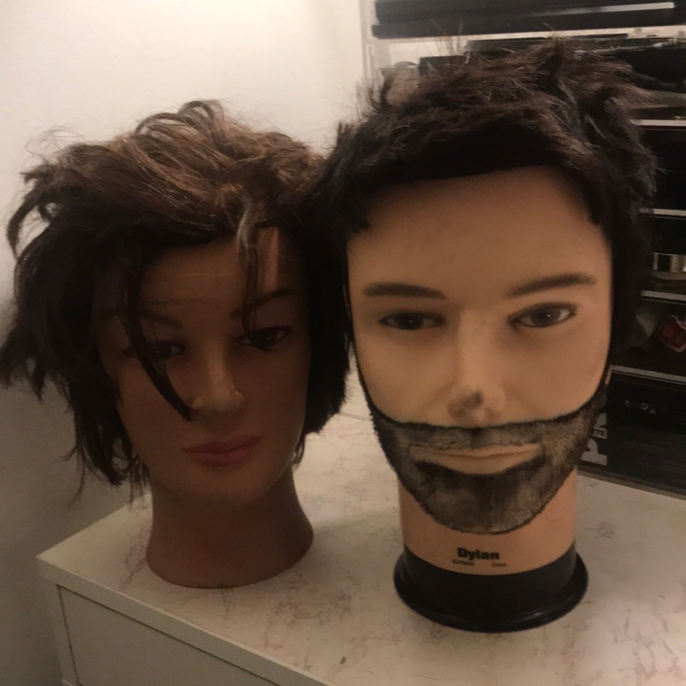 Manikin.  Male and female.